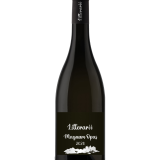 litterarii_magnum-opus-scaled